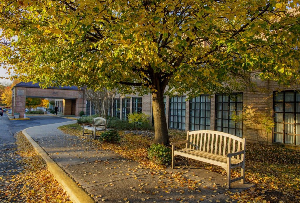 A scenic autumn view with benches under a tree near a building.