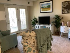 A cozy living room with a television, decorative plants, and a comfortable armchair draped with a blanket.