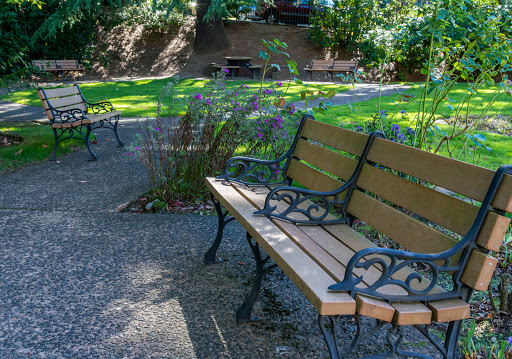A tranquil park scene featuring wooden benches surrounded by lush greenery.