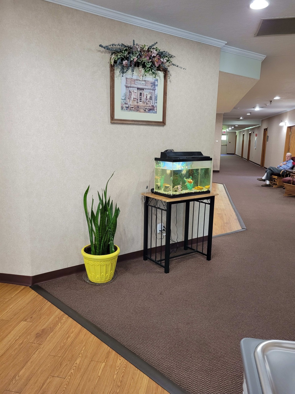 A hallway with an aquarium on a stand and a potted plant nearby.