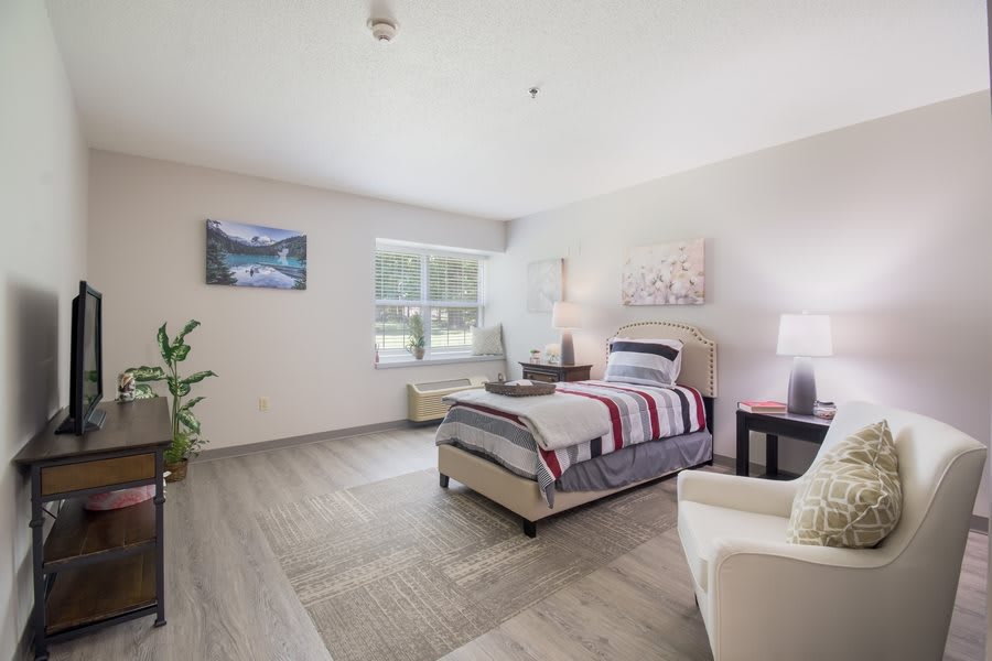 A modern bedroom with a single bed, decorated with artwork and a plant by the window.