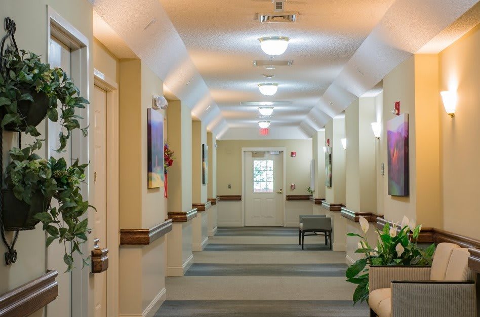 A well-lit hallway with doors on either side, plants, and benches along the walls.