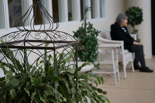 A tranquil indoor setting featuring hanging plants and a comfortable seating area.