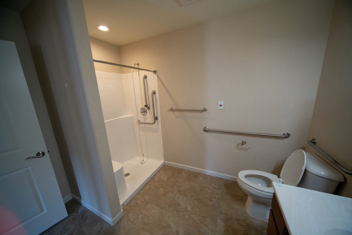 A modern, accessible bathroom with a walk-in shower and grab bars.