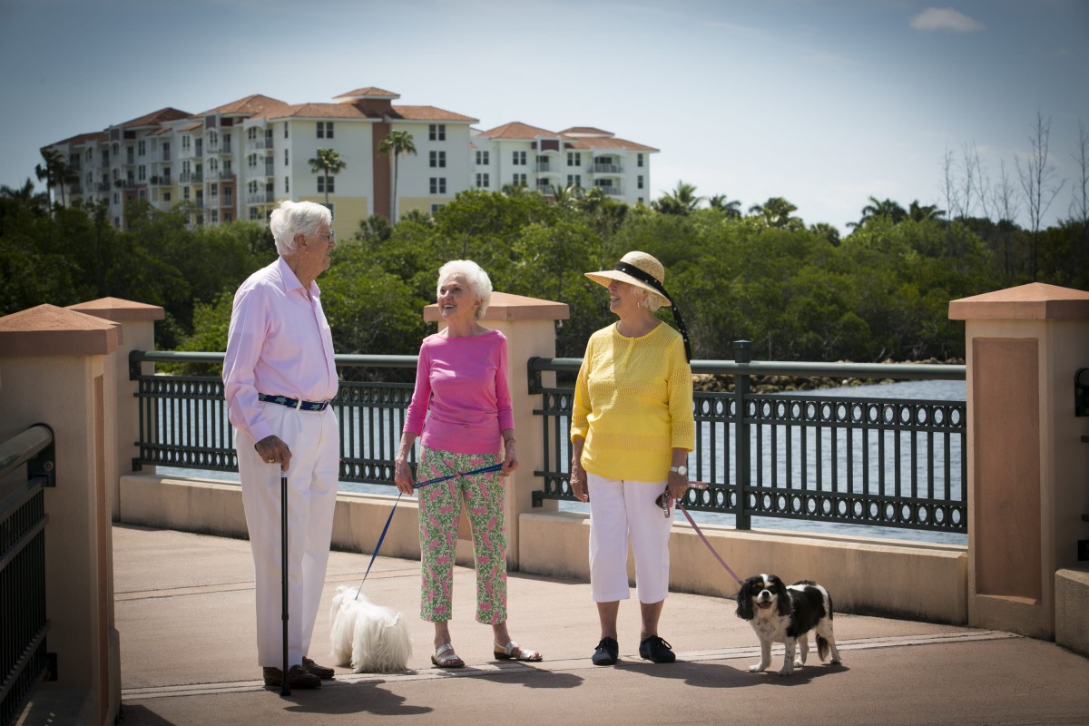 A group of seniors enjoying a walk with their dogs in a park.