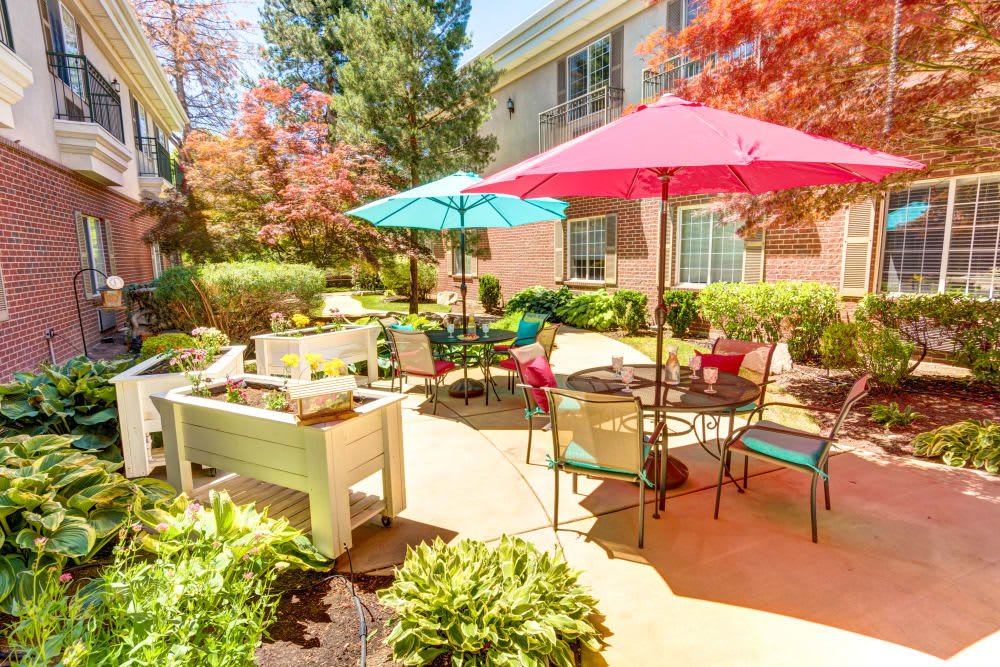 A sunny outdoor patio area with colorful umbrellas and garden furniture surrounded by lush greenery.