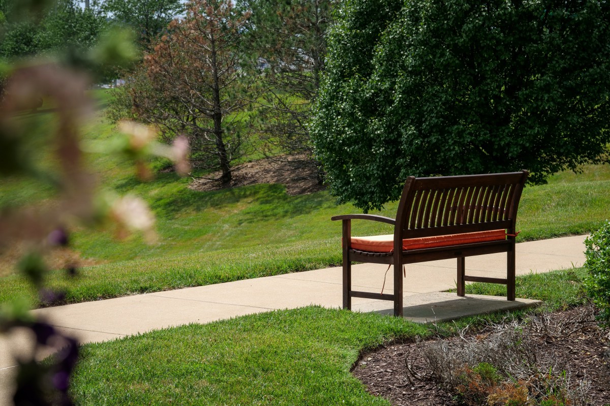 A peaceful park scene with a wooden bench along a pathway surrounded by lush greenery.