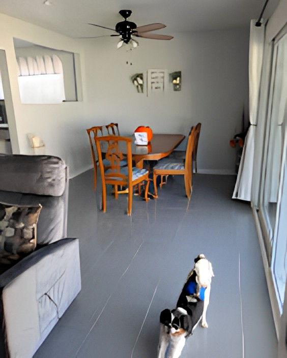 A living space featuring a dining table set, ceiling fan, and a small dog facing a sliding glass door.