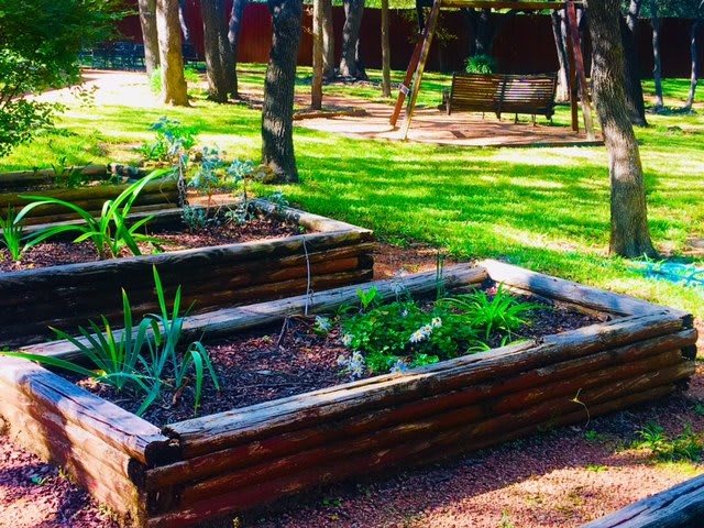Raised garden beds with young plants in a sunny outdoor setting.