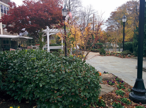 A serene autumn scene in a park, showcasing colorful foliage and a winding pathway.