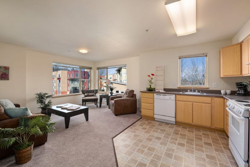 A modern open floor plan apartment featuring a cozy living room and kitchen area with ample natural light from large windows.