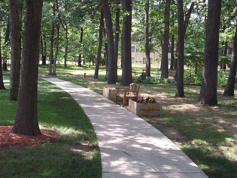 A peaceful park scene featuring a winding concrete pathway lined with trees and benches.
