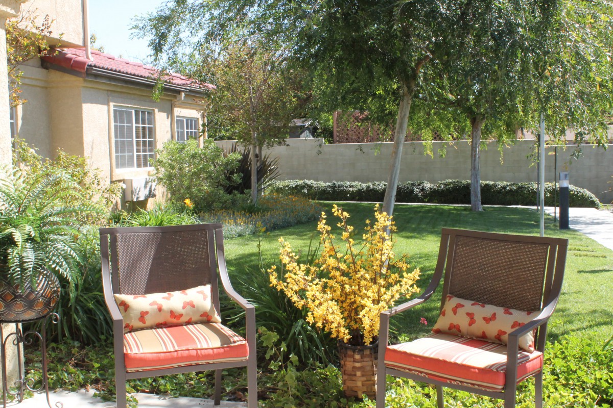 A tranquil backyard garden with comfortable outdoor seating and lush greenery.