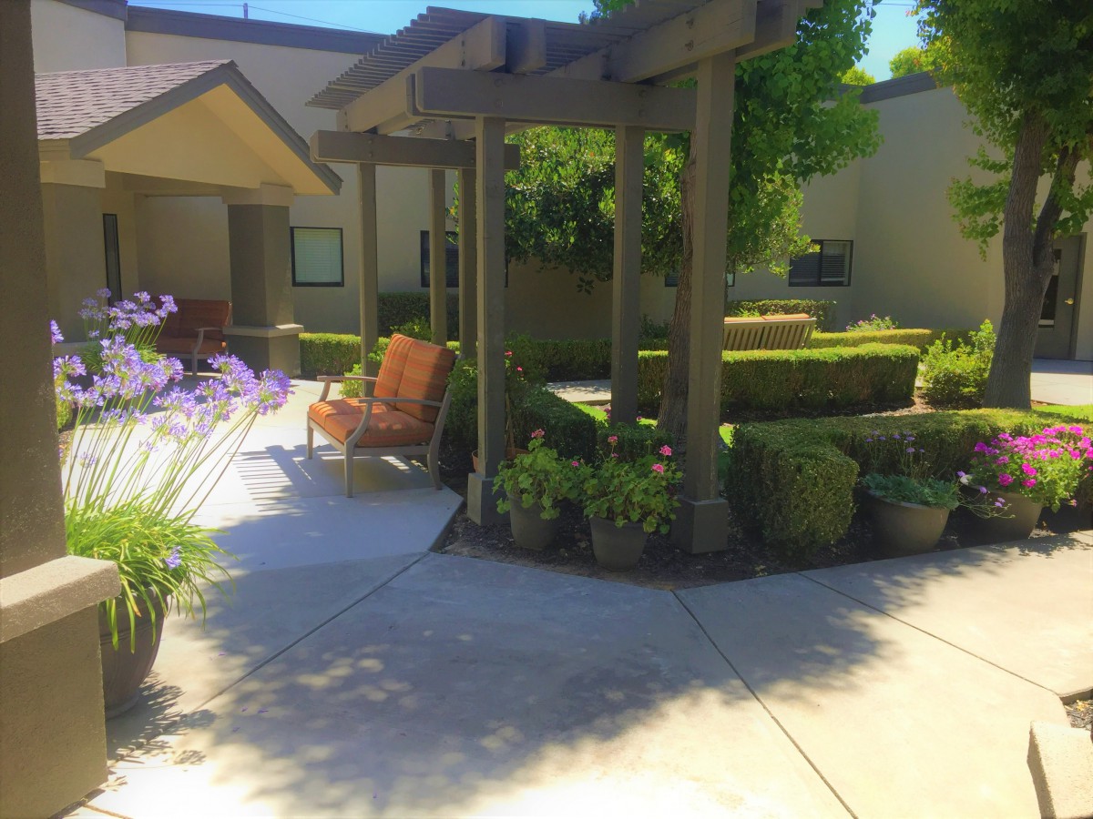 A sunny garden area featuring a pergola surrounded by lush greenery and colorful flowers.