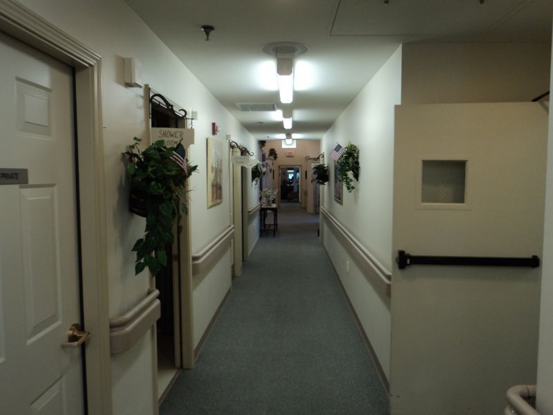 A well-lit hallway with doors and decorative plants on the walls.