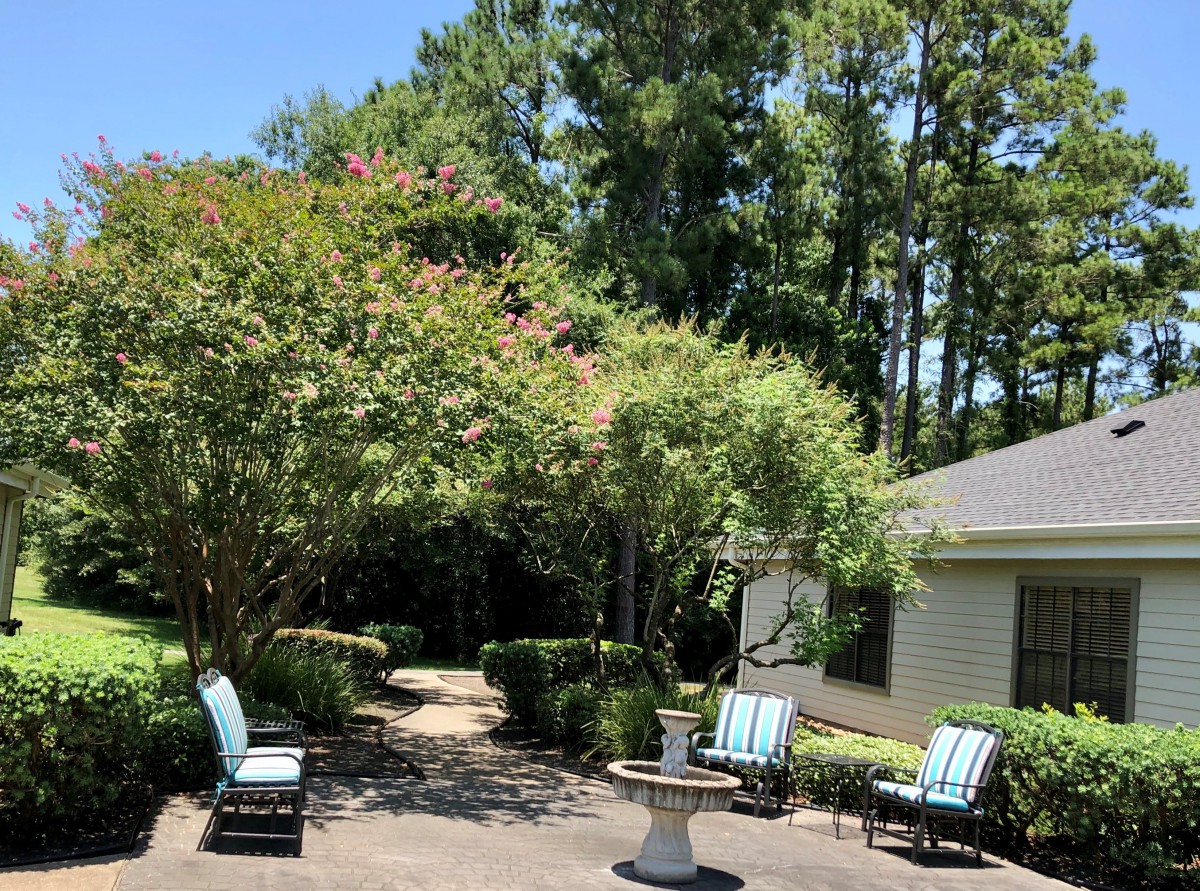 A sunny garden patio with seating and a pathway surrounded by lush trees.