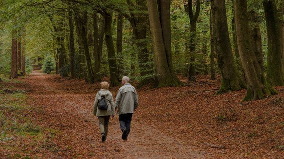A couple walking through a forest covered in autumn leaves.