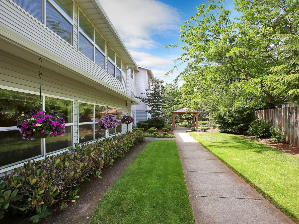 A peaceful garden with a lush green lawn and a pathway beside a building.