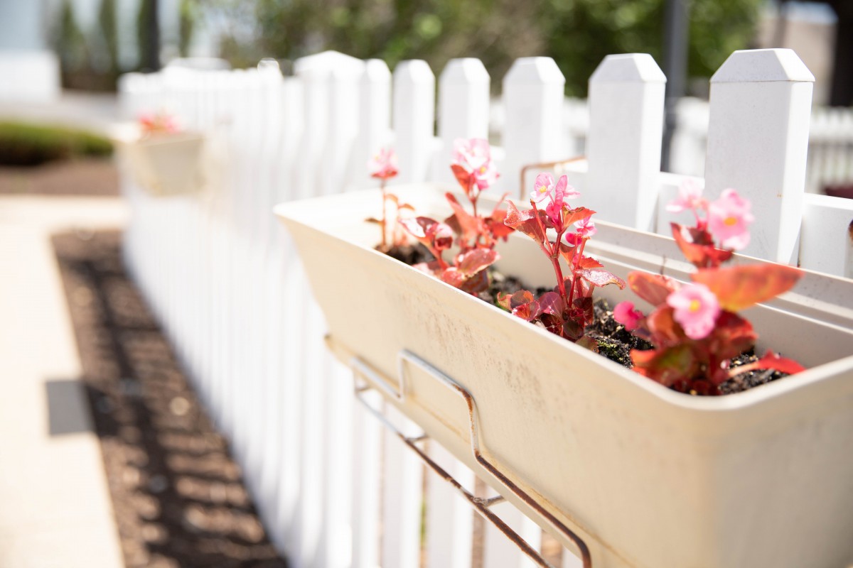 A planter filled with pink flowers hangs on a white picket fence.