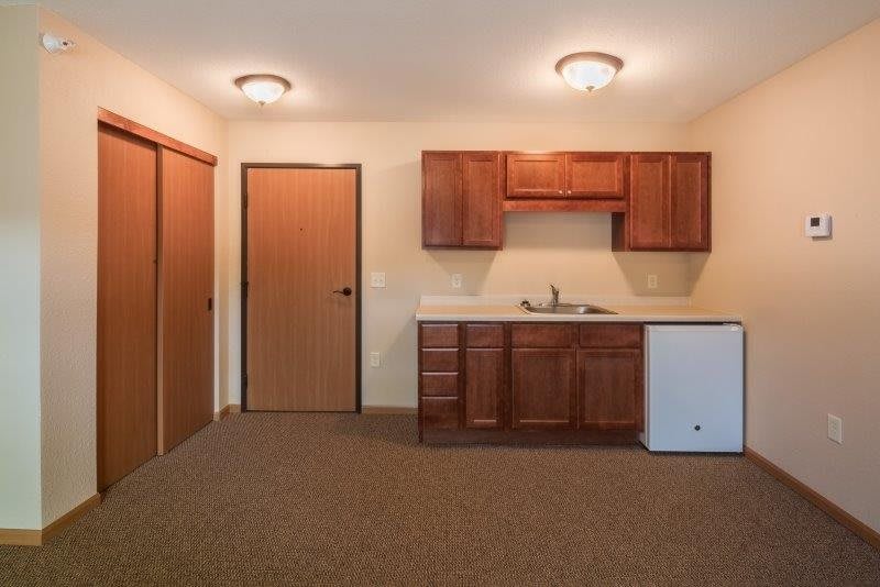 A small kitchen area with wooden cabinets, a sink, and a mini refrigerator in a carpeted room.