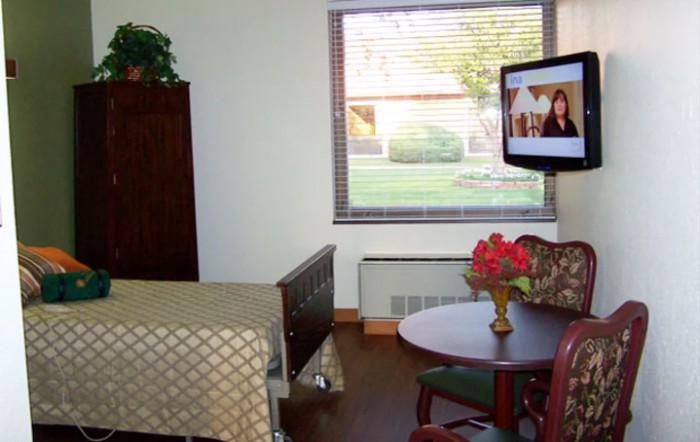 A hospital room with a bed, television, and a table with flowers near a window.