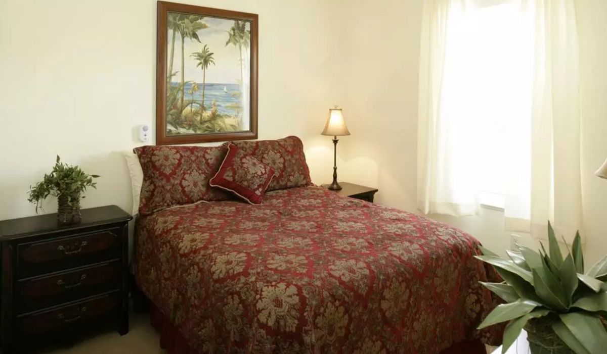 A cozy bedroom with a patterned bedspread, a lamp on the nightstand, and a tropical-themed painting on the wall.