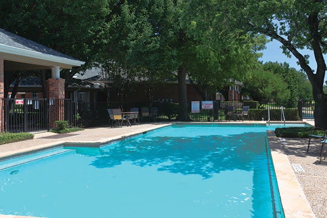 A serene outdoor swimming pool surrounded by trees, perfect for a relaxing summer day.