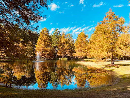 A serene autumn scene with vibrant trees reflecting off a calm lake under a bright blue sky.