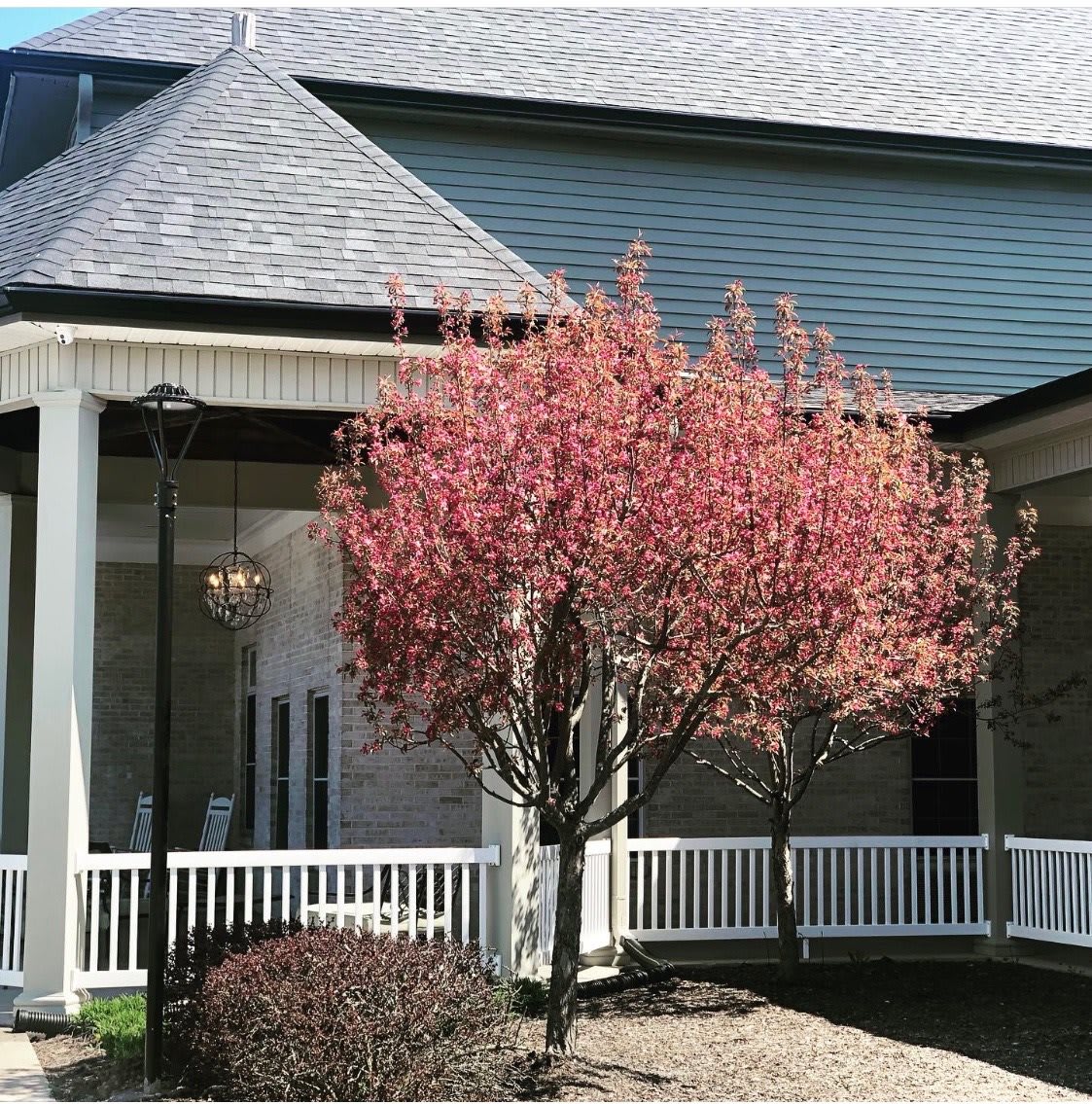 A house with a porch and a tree in full bloom featuring pink blossoms.