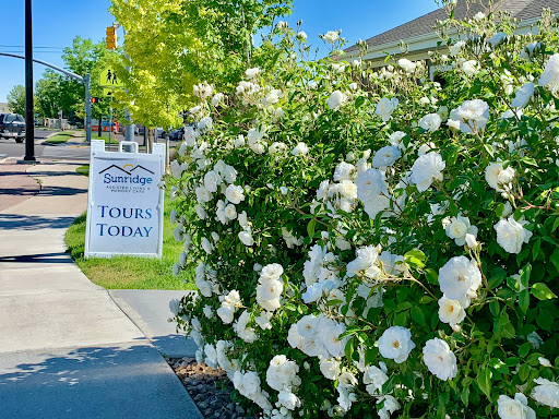A beautiful display of white flowers beside a sign offering tours today.