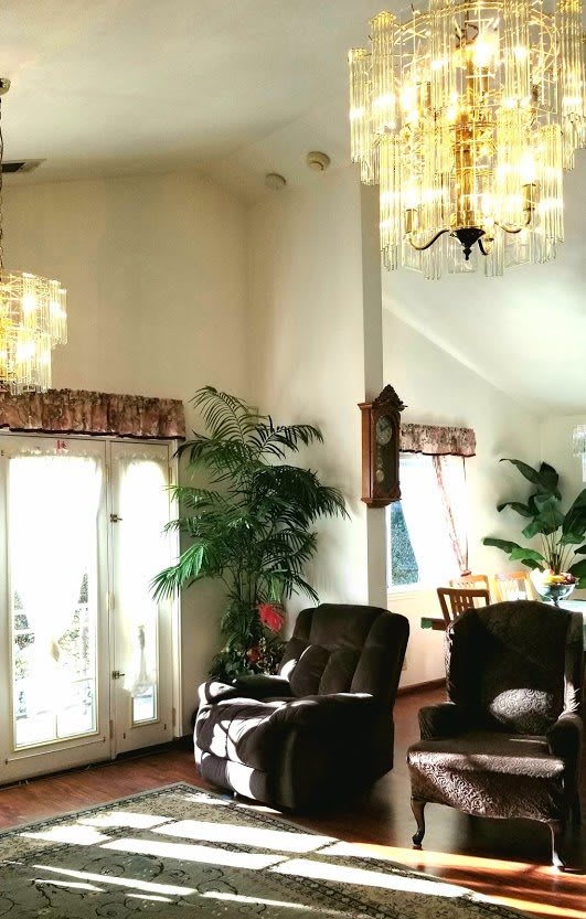 A well-lit living room featuring chandeliers, armchairs, indoor plants, and a grandfather clock.