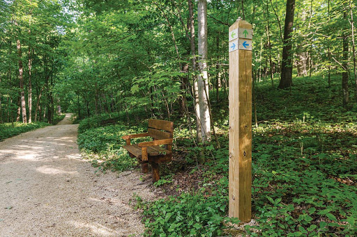 A wooden signpost stands beside a rustic bench along a serene forest trail.