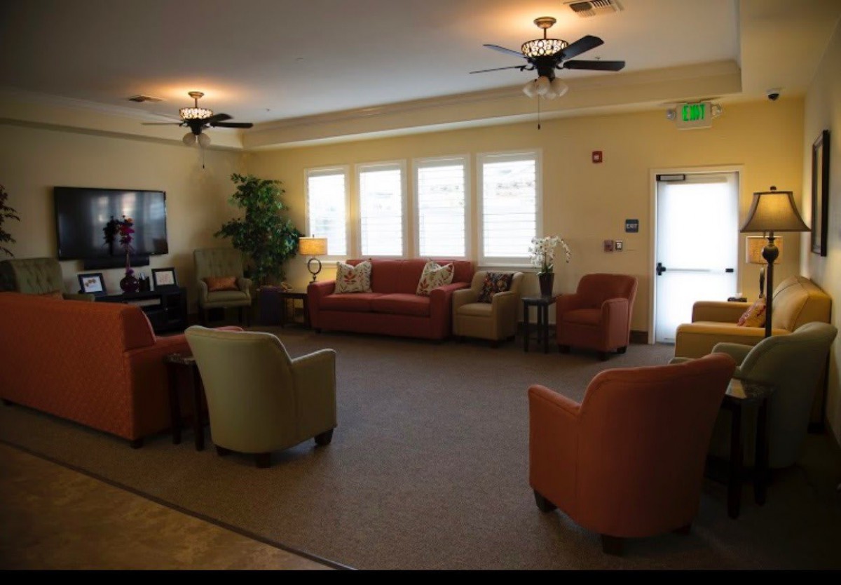 A cozy living room with sofas, chairs, and ceiling fans creating a comfortable lounge area.