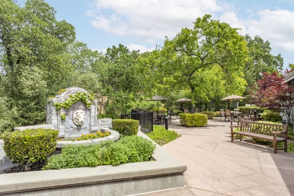 A serene garden with a decorative fountain and lush greenery, featuring benches and a winding pathway.