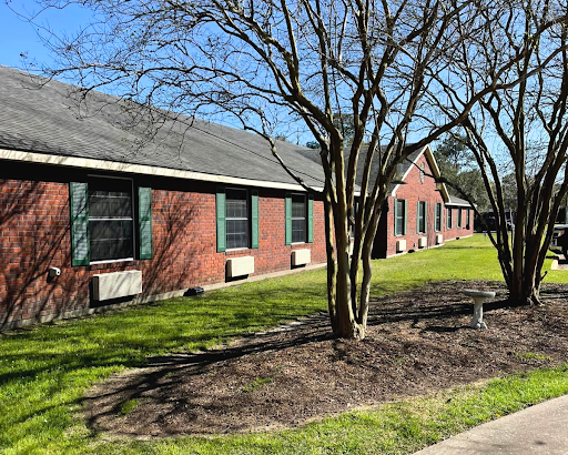 A view of brick buildings surrounded by greenery and trees, showcasing a serene school environment.