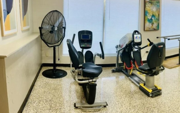 A gym setup featuring a recumbent exercise bike and a large standing fan.