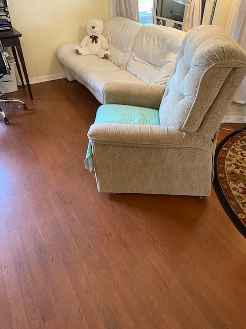 A cozy living room featuring a sofa and recliner on wooden flooring.