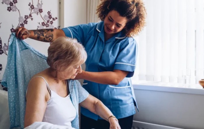 The Villages Of Lapeer Nursing & Rehabilitation