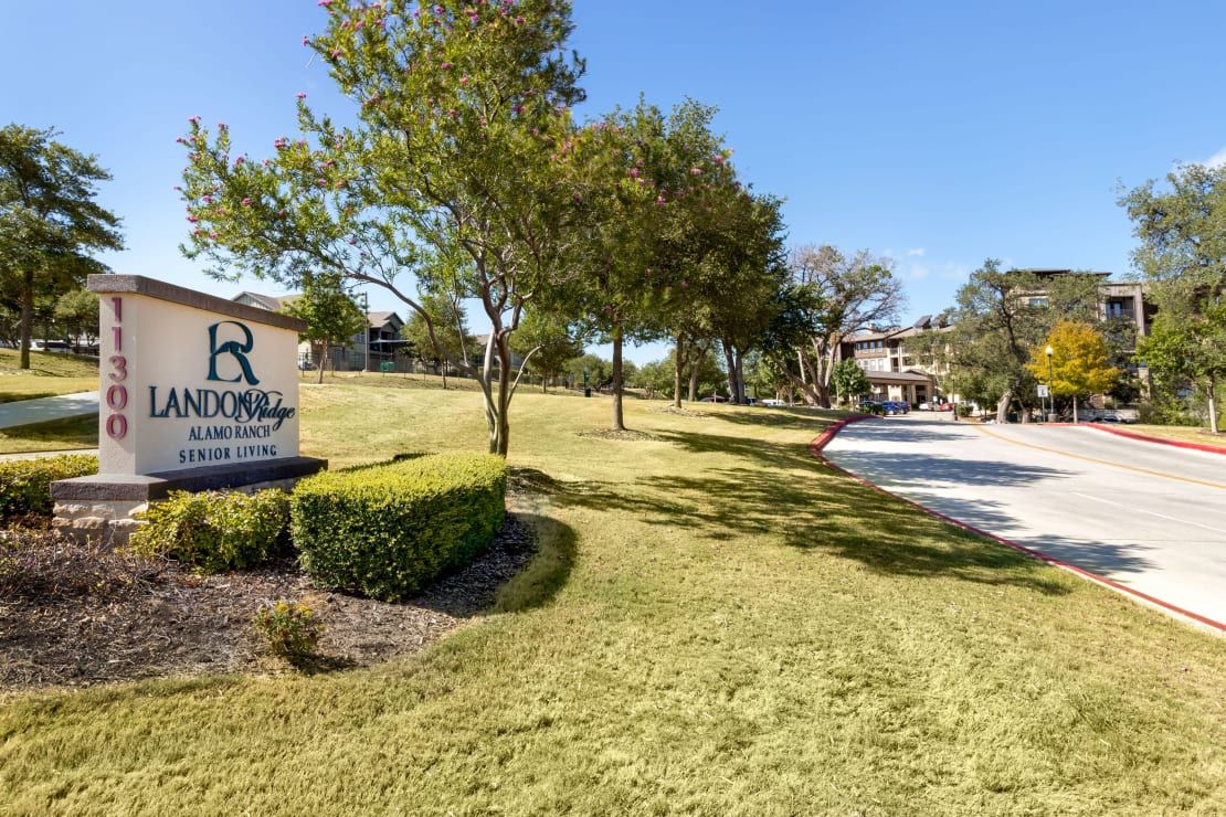 A landscaped area with a sign, trees, grass, and a road leading to a building.