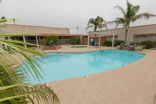 A serene outdoor swimming pool surrounded by palm trees, perfect for relaxation.