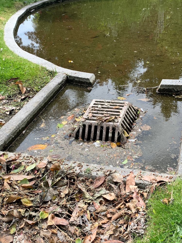 A storm drain partially clogged with leaves and debris, surrounded by water.