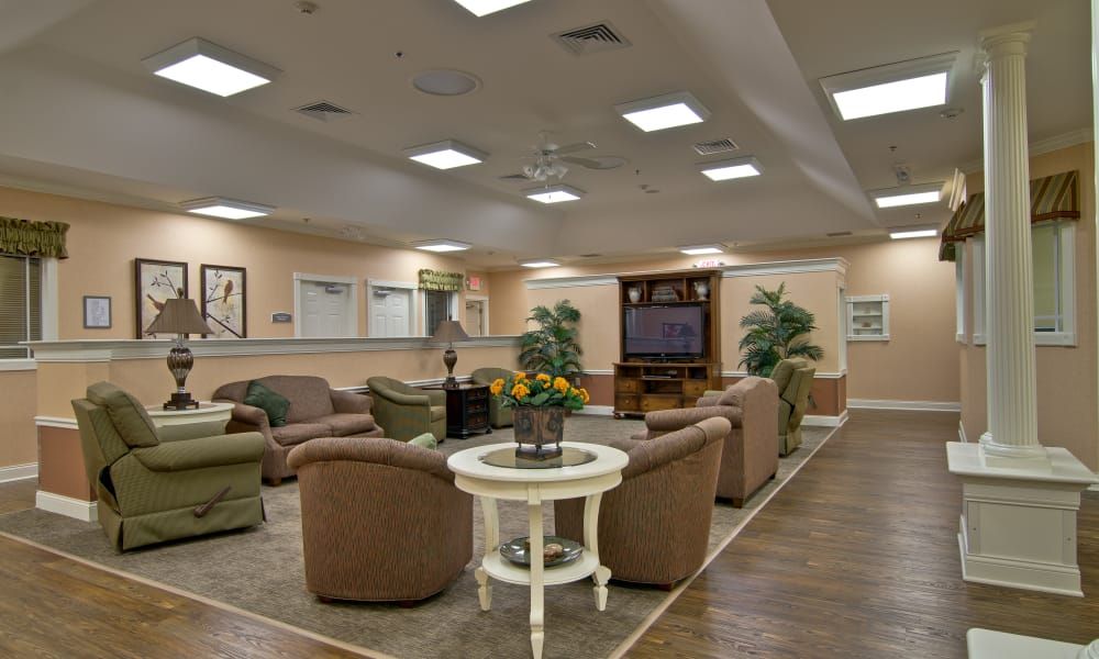 A cozy waiting area with comfortable seating and indoor plants.