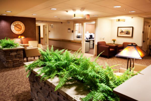 A well-lit lobby or waiting area featuring comfortable seating and lush greenery.