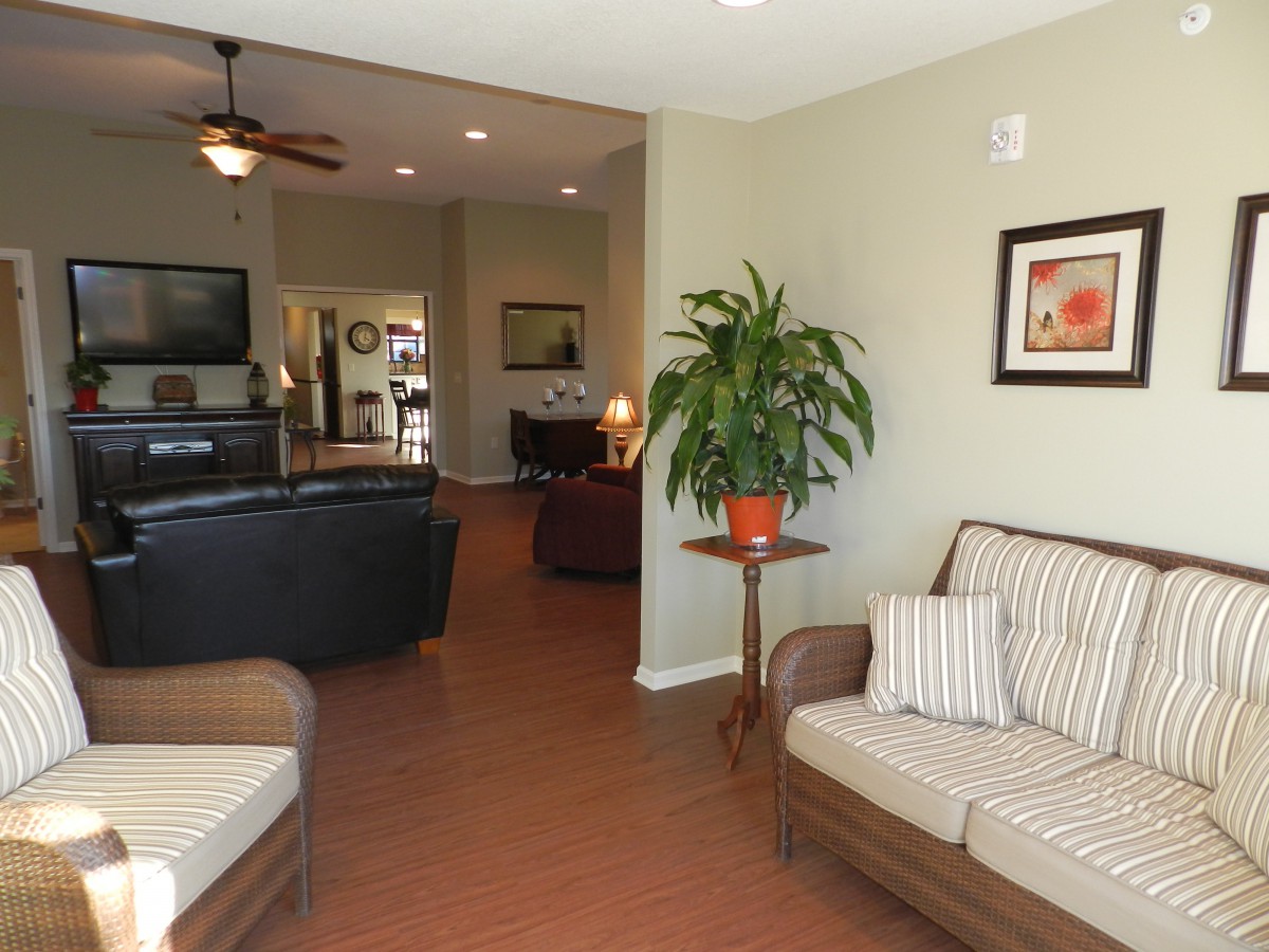 A cozy living room interior with sofas and a potted plant.