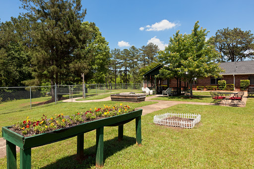 A serene garden featuring flower beds, lush greenery, and a clear blue sky.