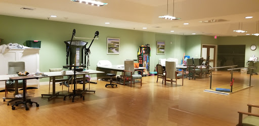 A spacious and well-lit office workspace with modern furniture and a calming green color scheme.