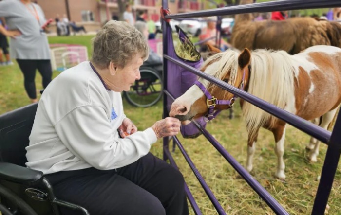 An elderly woman feeds a pony through a fence outdoors, enjoying the interaction.