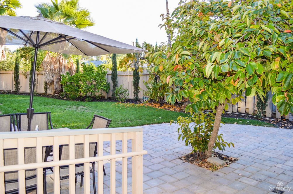 A peaceful backyard featuring a patio with furniture, an umbrella, and lush greenery.