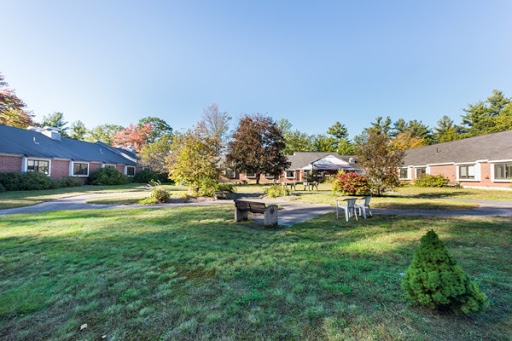A serene residential area showcasing vibrant autumn foliage and well-kept gardens.