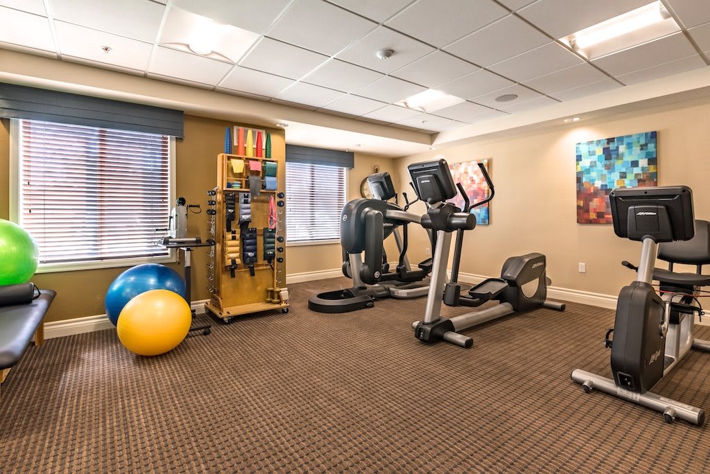 A fitness room equipped with an elliptical machine, a treadmill, and exercise balls.